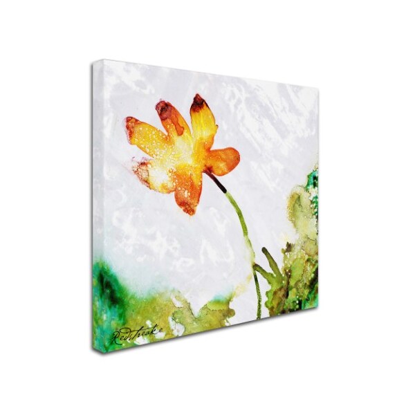 Jennifer Redstreake 'Golden Bloom' Canvas Art,35x35